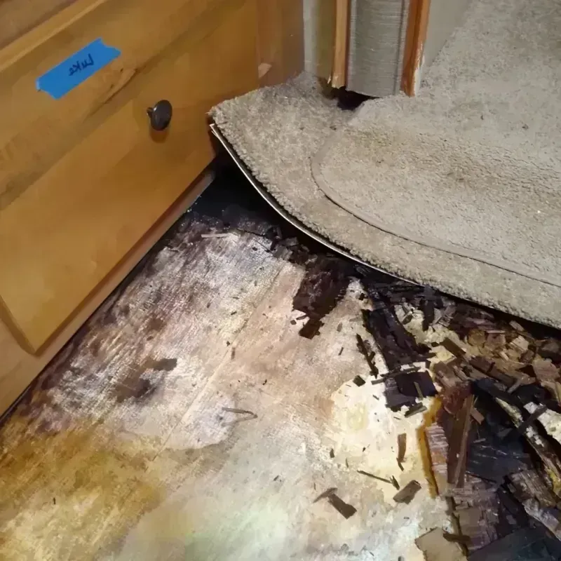 Best Wood Floor Water Damage Service in Berkeley Lake, GA